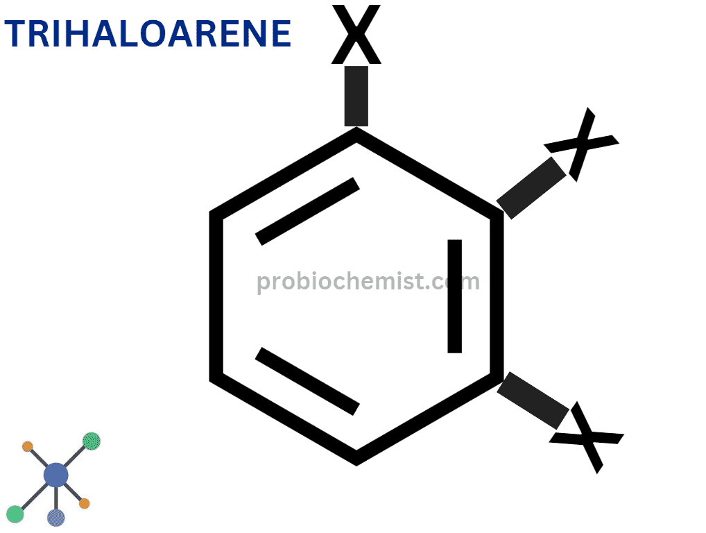 Polyhaloarenes Handwritten Notes