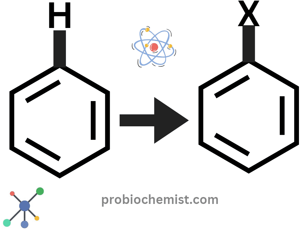 Haloalkanes and Haloarenes Handwritten Notes for Class 12 PDF