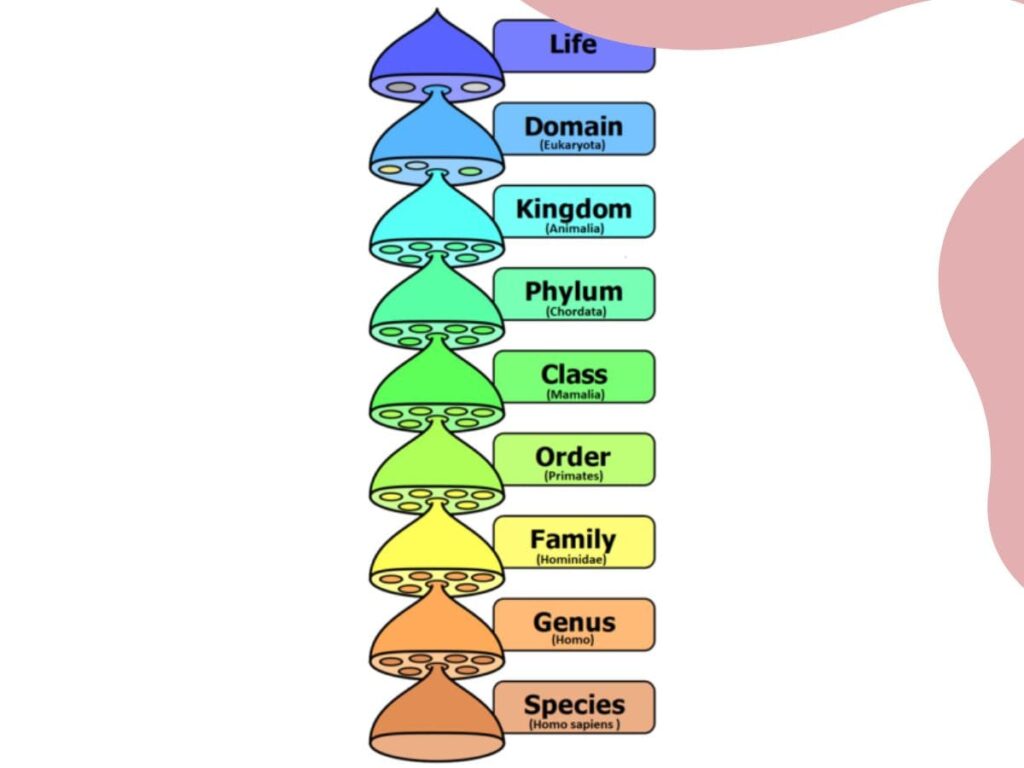 Plus One Botany Notes 