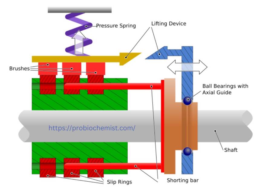 Electric Motor and Generator Class 10 Physical Science Question Answer